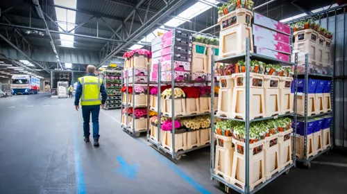 Ammonia CO2 installation at Royal Flora Holland