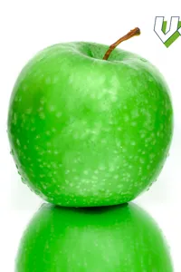 Brochure Fruit Tech Campus