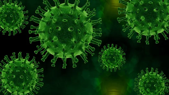 Update Coronavirus 2020