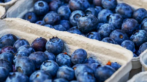 Koeltechniek voor Berry Packing