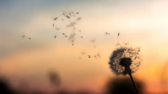 Overlijdensbericht: Huib Croonen